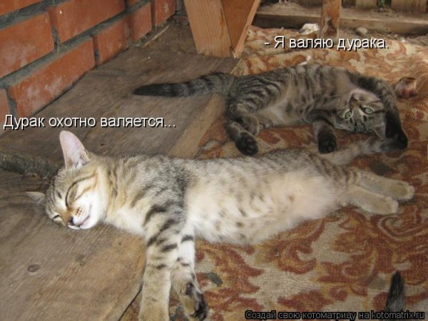 Дурак валяется