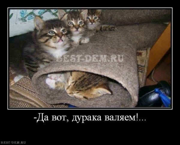 Как валять дурака