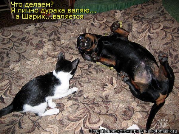Повалять дурака