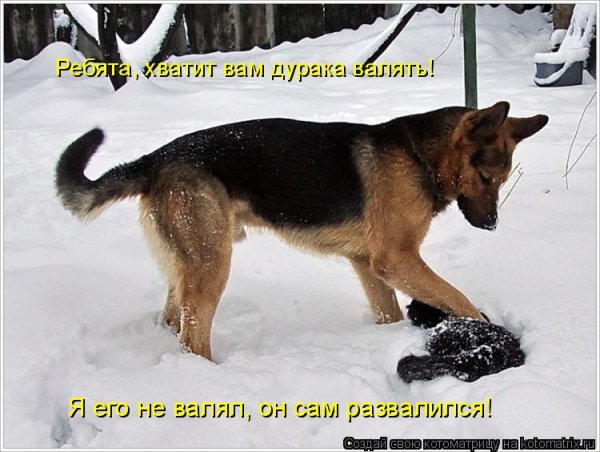 Мемы комиксы