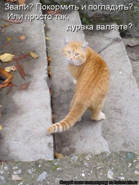 Драка карикатура
