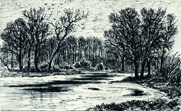 Иван Шишкин лес 1885