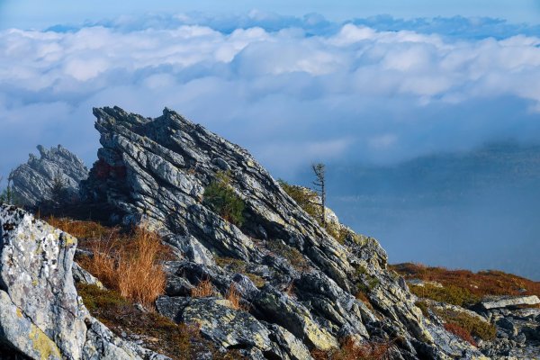 Басеги Пермь заповедник
