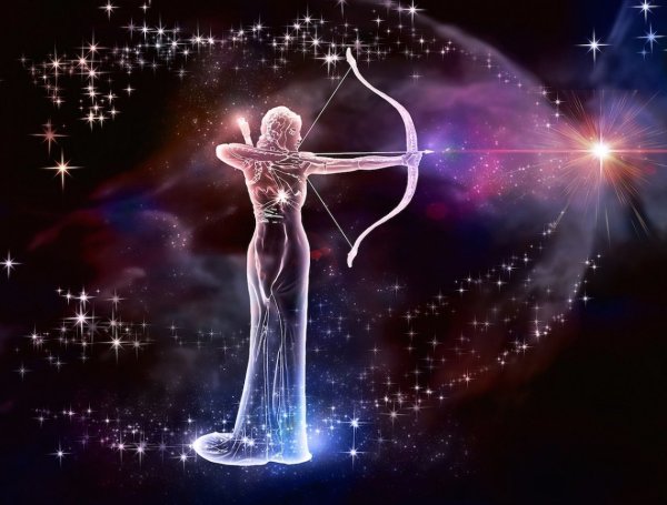 Стрелец Sagittarius
