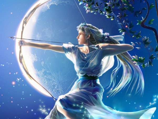 Стрелец Sagittarius