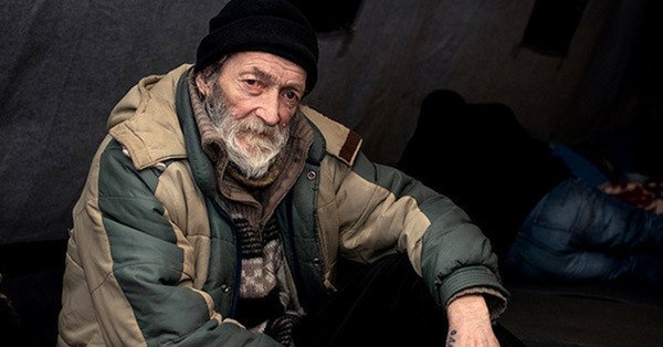 Бездомные собаки