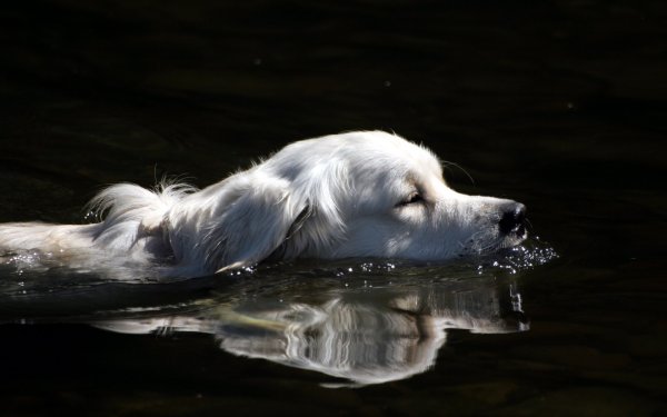 Картинки на рабочий стол вода