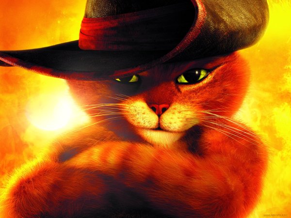 Мультфильм кот в сапогах