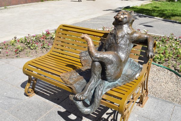 Йошкин кот Казань