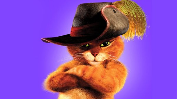 Открытка кот в сапогах