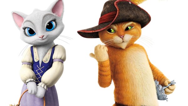 Приключения кота в сапогах Дульсинея и кот