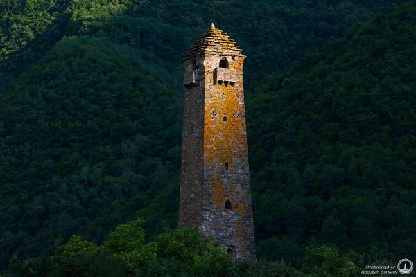 Вайнахские башни Чечни