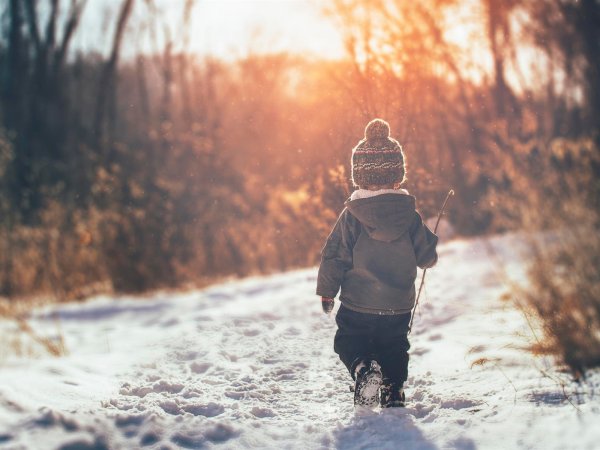 Маленький мальчик в зимнем лесу