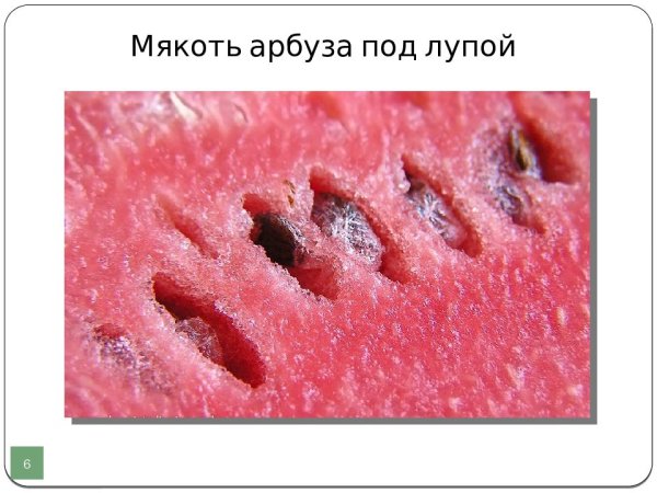 Арбуз текстура