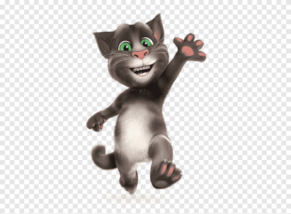 Кот тим