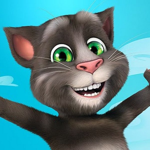 My talking Tom 2013