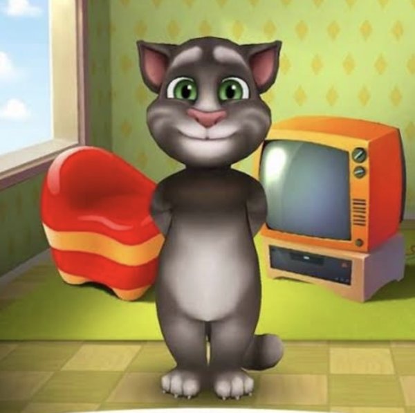 Картинки игры мой говорящий кот