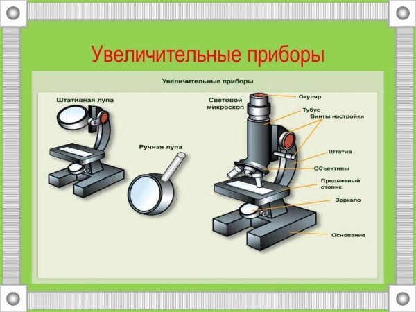Оптический микроскоп строение