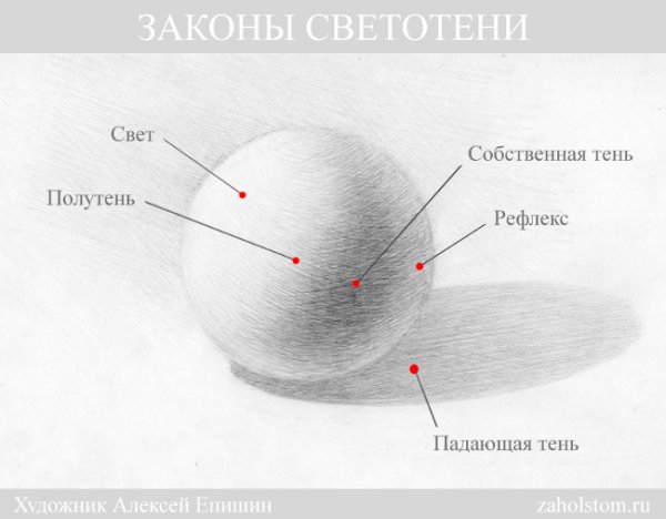 Тень полутень рефлекс штриховка