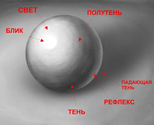 Свет тень полутень рефлекс блик в рисунке