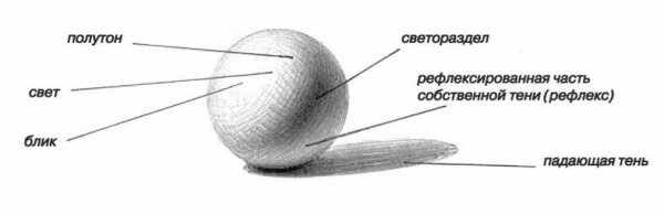 Свет полутон тень рефлекс в рисунке