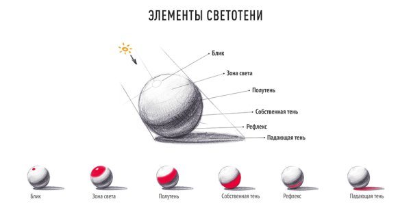Блик тень полутень рефлекс в рисунке
