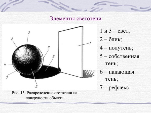 Блик тень полутень рефлекс в рисунке