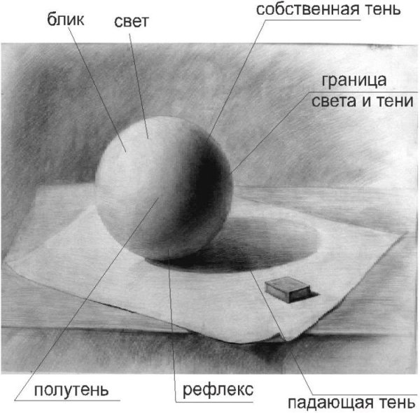 Блик тень полутень рефлекс в рисунке