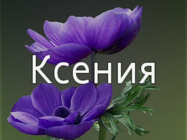 Имя Ксения