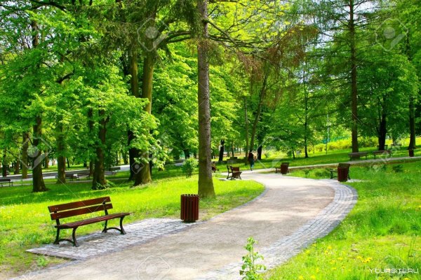 Парк «городской лесопарк».