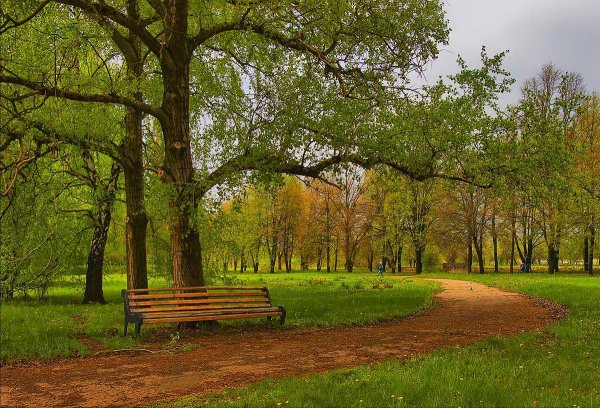 Городской парк весной