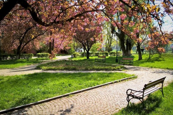 Весенний парк