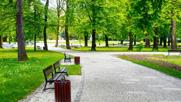 Городское благоустройство