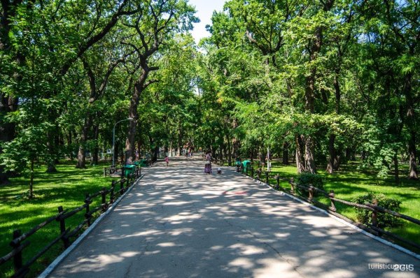 Парк Лукоморье Саратов