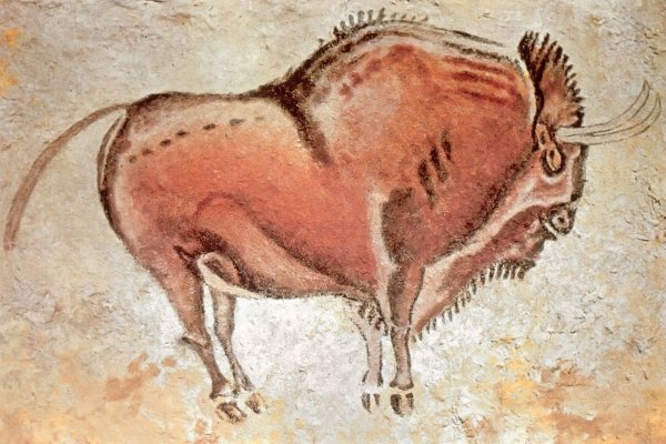 ЗУБР пещера Альтамира Испания