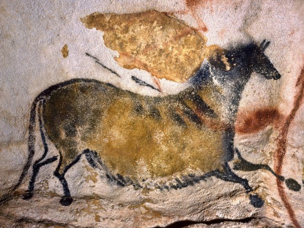 Лошадь палеолит пещера Ласко Франция