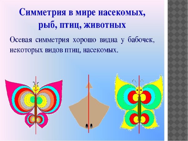 Ось симметрии
