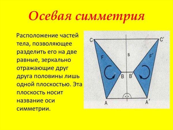 Осевая симметрия