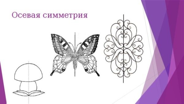 Осевая симметрия рисунки