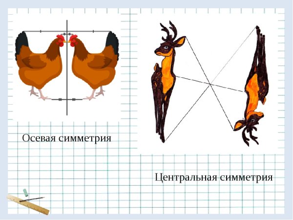 Осевая симметрия рисунки