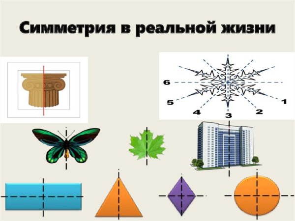 Осевая симметрия в жизни