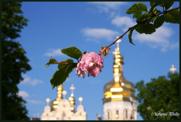 О благодати Божией
