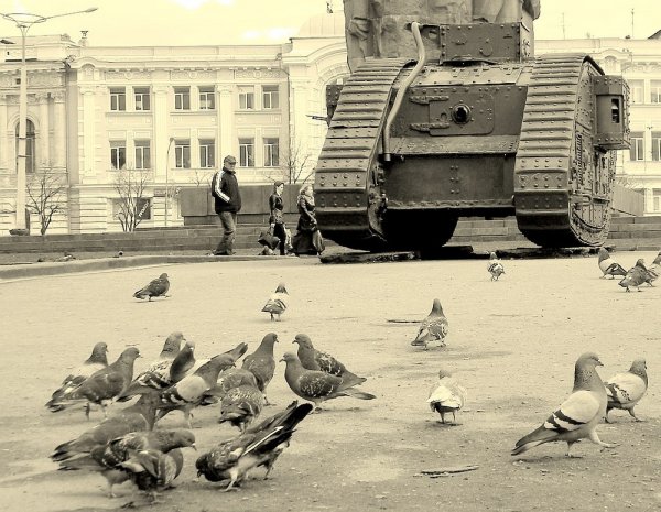 Голуби на войне