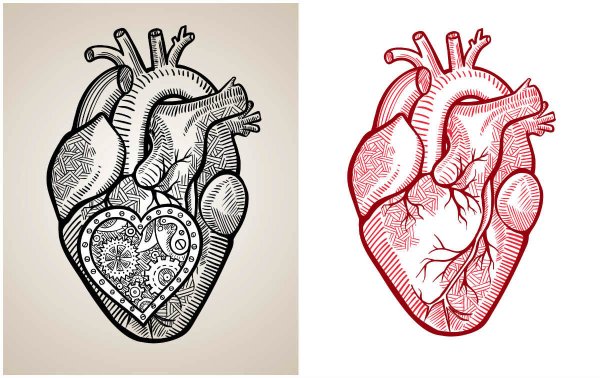 Графика картинки сердце (50 фото)