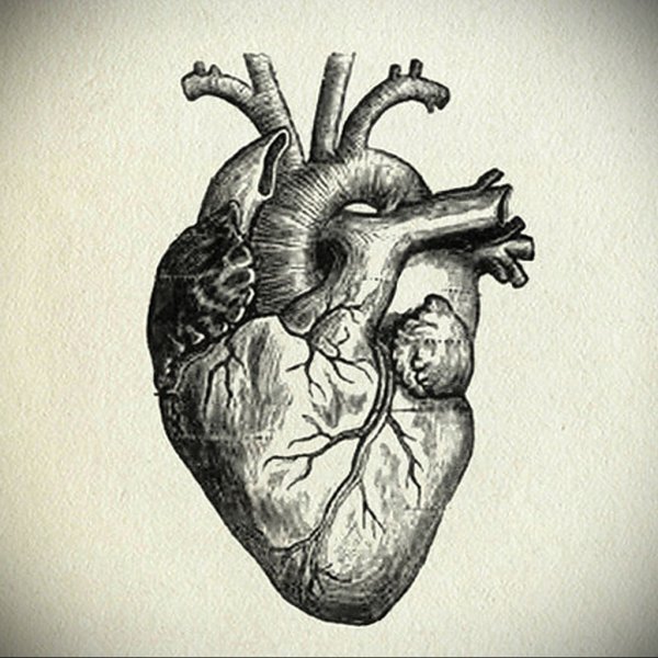Тату человеческое сердце