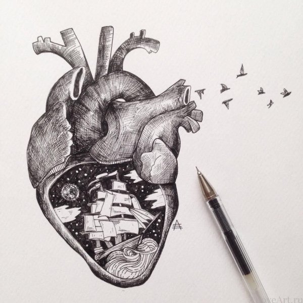 Сердце эскиз