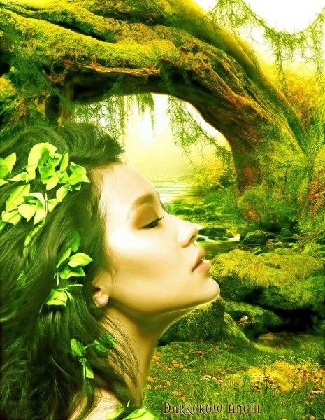 Матушка природа картинки для детей
