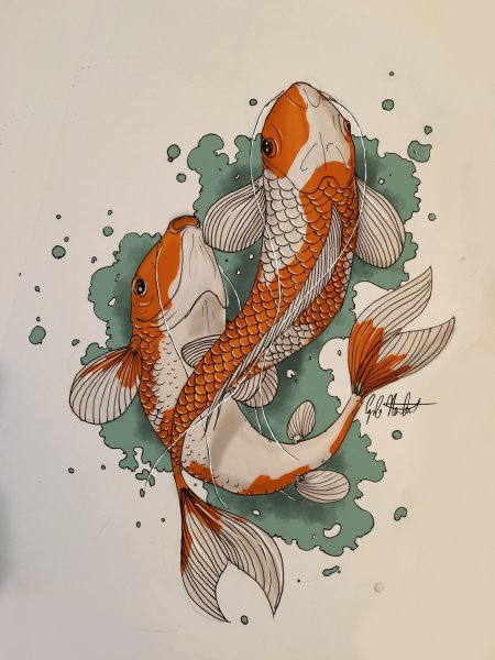 Японские карпы Koi