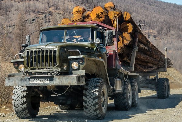 Урал 4320 хлыстовоз
