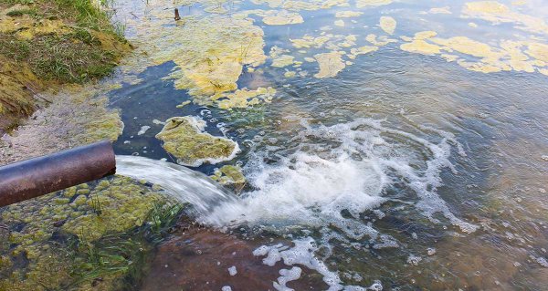 Сточные воды загрязнение воды
